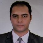Ahmed AbdelSadek, Projects Team Leader