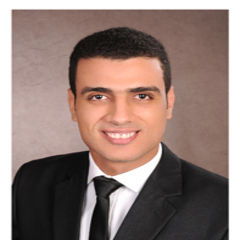 lotfy mohamed gharib El-boghdady