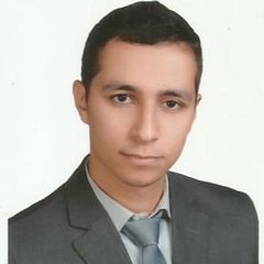 Amir  Soltan , Financial analyst (Sales) 