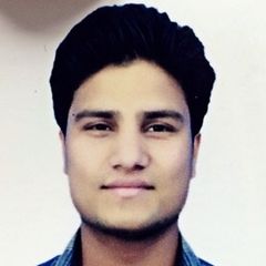 ankit thapliyal, Territory sales supervisor