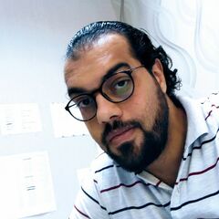 محمد أحمد خميس, محاسب عام