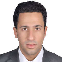 مصطفى حامد, Senior sales engineer 