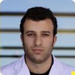 ali hamieh, Researcher in surface organometallic chemistry and Catalysis