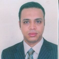 Mostafa Meshref, OPERATION AND MEAINTENANCE LEAD                                                      