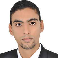 حسام حسن على حسن يوسف يوسف