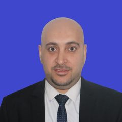 مصطفى نظمى أبو موسى, مدير تنفيذي 