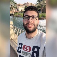 Ahmed Hegazy, Design Engineer - Concrete Structure