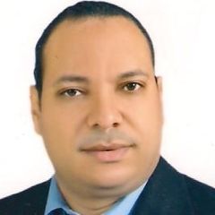 Ahmed Fouad, Financial manager