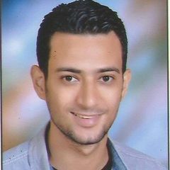 Bassem fathy mahmud badawy abu selem, hr developer,nlp trainer