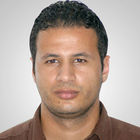 Mohamed Gamal Awad