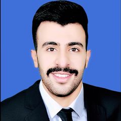 Ahmed Hamdy Mohamed Elsayed , Accountant