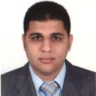 Mohamed El-Maleh, Consultant