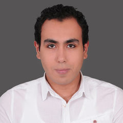 Mohamed Alaa eldin