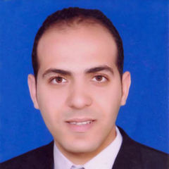 مصطفى ابراهيم دسوقي عبدالرحمن منصور, Accountant