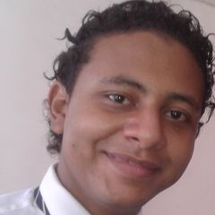 Ahmed Mohamed Abd El-Razek