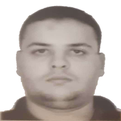 Ahmed Fathy Sakr,  Senior Geographic Information System Specialist