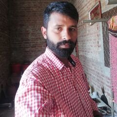 Sajid Gill