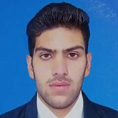 Hassnain Khan