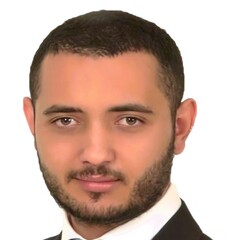 Mohamed El Mahdi HAM, Sales Analyst