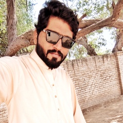 Bilal Hussain