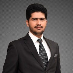 Shahzaib Ali, Accountant