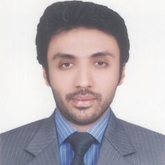 Ali Haider Nadeem, Consultant