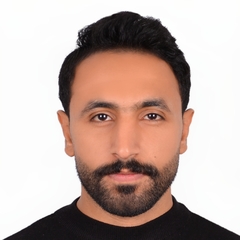 أحمد Wasfy, Content Writer And Proofreader