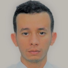 Farouk Hellal, Chemical Process Engineer