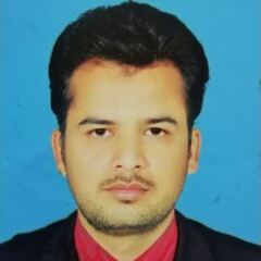 Qaiser Mehmood, IT Assistant