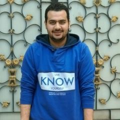 Mohamed Samir Motawea Salman