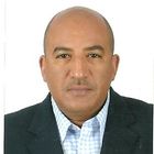Ashraf Mahmoud, Medical Product Support Manager