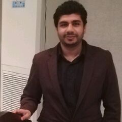 Ahmed Mohamed Mesallam Mekawy, Health Information Applications Specialist