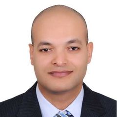 Murad Saleh, Project Manager