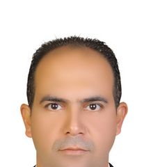Ahmed Elsaied Ali Eissa Elsharaway, Business Development And Sales Manager   Export Sales   Emulsions/Paints/Coatings