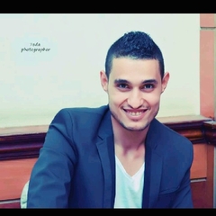 Ahmed Aly, محاسب عام