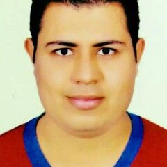 Mahmoud Al-Gwaily, مصرفي