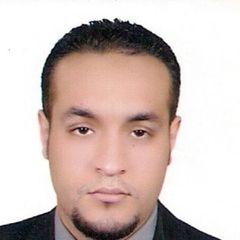 حسام محمد عبد المجيد عبد اللطيف, handling agent