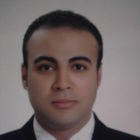 Hany Nasr, مدير مالى
