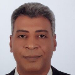 Amr Radwan, Sales Manager