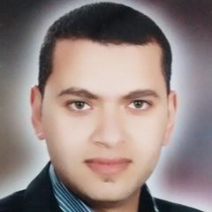 Ali Mahmoud Abou Alfa