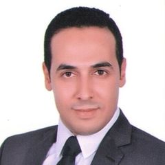 Mahmoud Saaed, Accountant