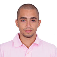 Mahmoud Nazer, Port Affairs Coordinator