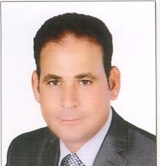 أحمدى عبدالهادى عثمان عيسى, محاسب
