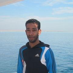 yasser-nasser-29886217