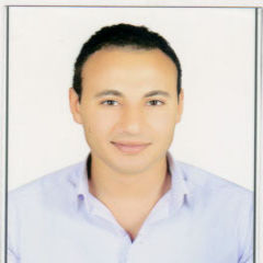 Ahmed Hegaz, Civil Engineer