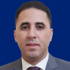 محمد العدوي, audit assistant manager