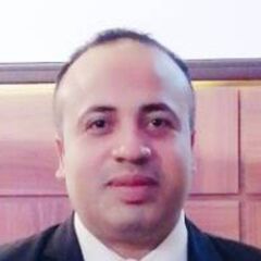 Ahmed Amin, Financial Controller