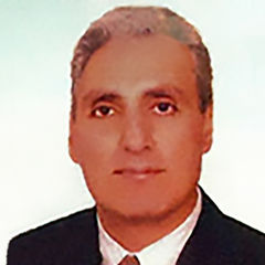 Issam Fakhry, Director Owner