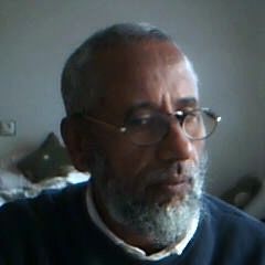 ahmed elBadawi, استاذ
