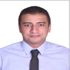 Mohamed Mounir, Chief Accountant